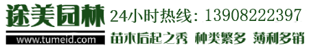 消防檢測(cè)儀器網(wǎng)_消防檢測(cè)設(shè)備_電氣防火檢測(cè)設(shè)備_防雷消防檢測(cè)儀器_江蘇檢測(cè)設(shè)備廠家